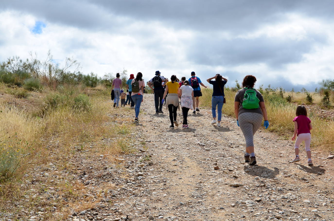 Fotos: Operación: llenar de encinas el Camino de los Neveros