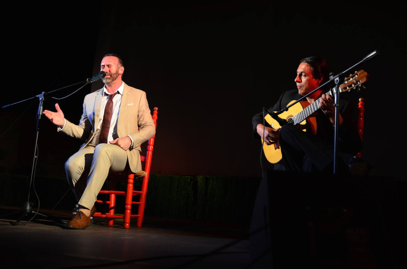 Fotos: Embrujo en el Festival Flamenco de Huétor Vega