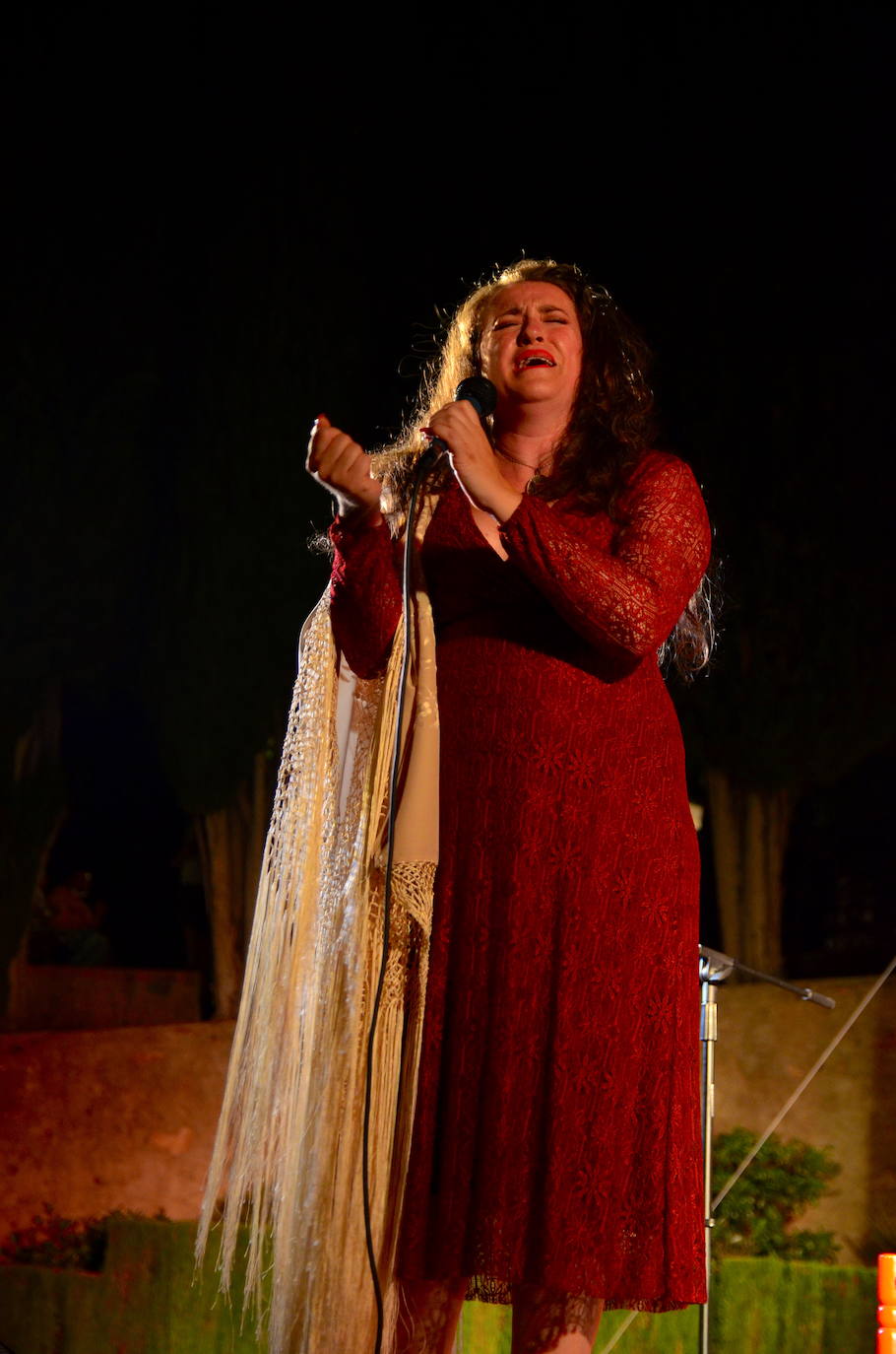 Fotos: Embrujo en el Festival Flamenco de Huétor Vega