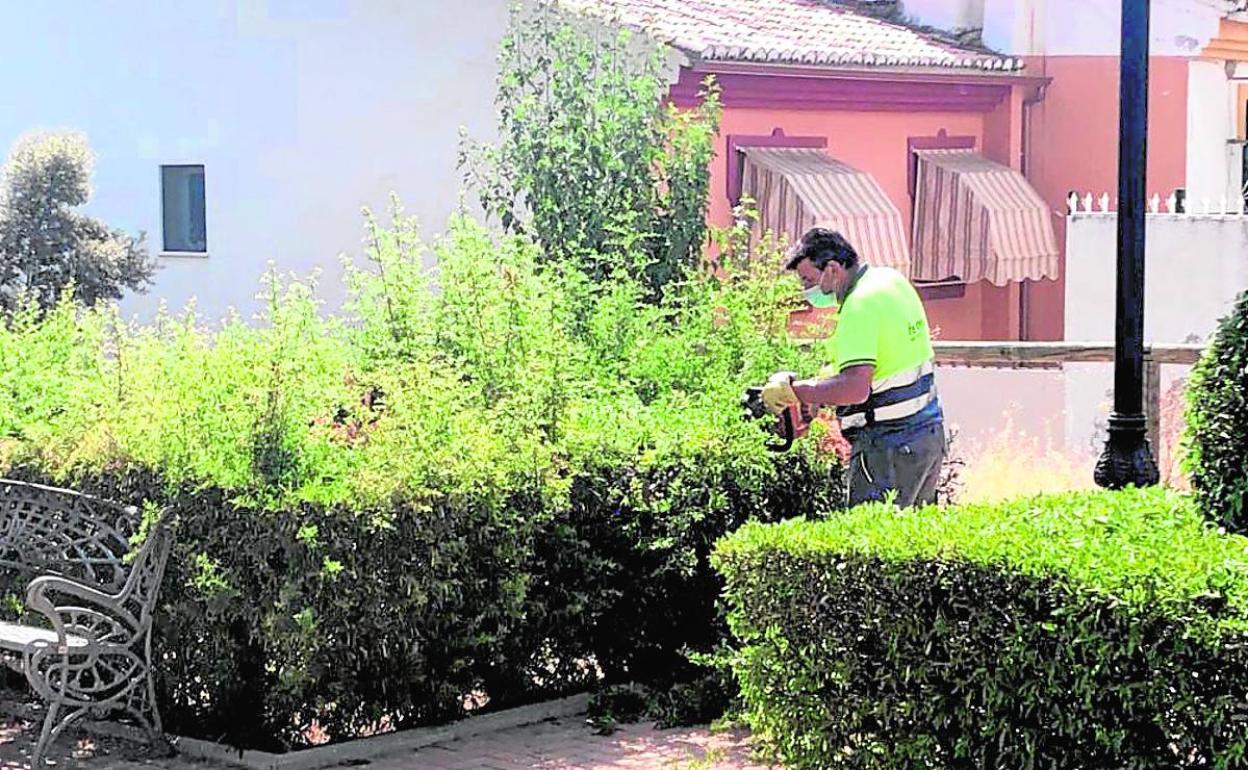Huétor Vega reforzará la plantilla de jardineros con el Plan Aire para arreglar las zonas verdes