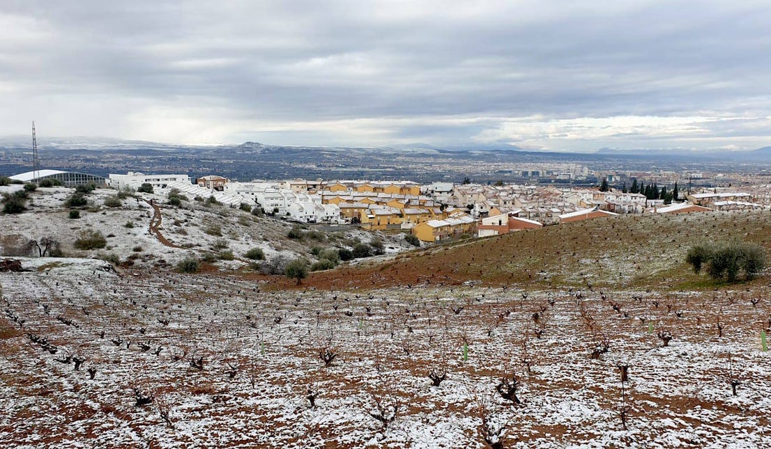 Huétor Vega amanece con un manto blanco.