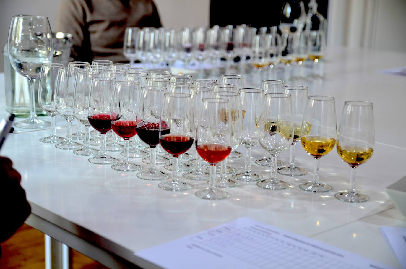 XXVIII Concurso de los Vinos Mostos de Huétor Vega.