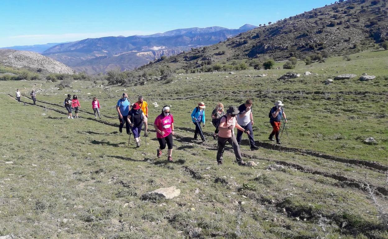 Senderismo: ruta por la Finca Dehesa de San Jerónimo, el domingo 6 de junio