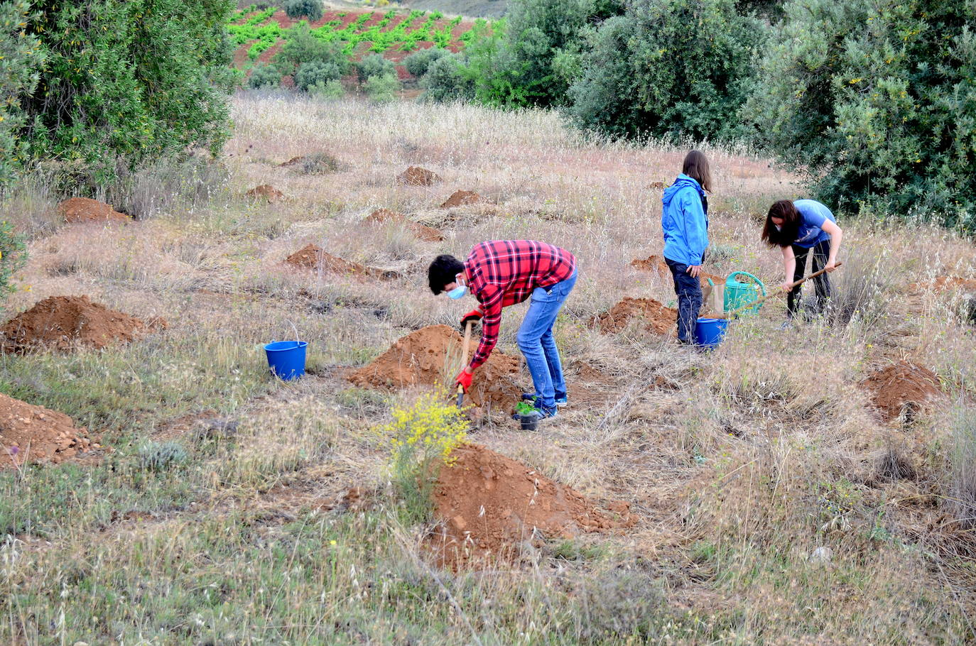 Huétor Vega se vuelca un año más en la siembra de árboles con Operación Encina.