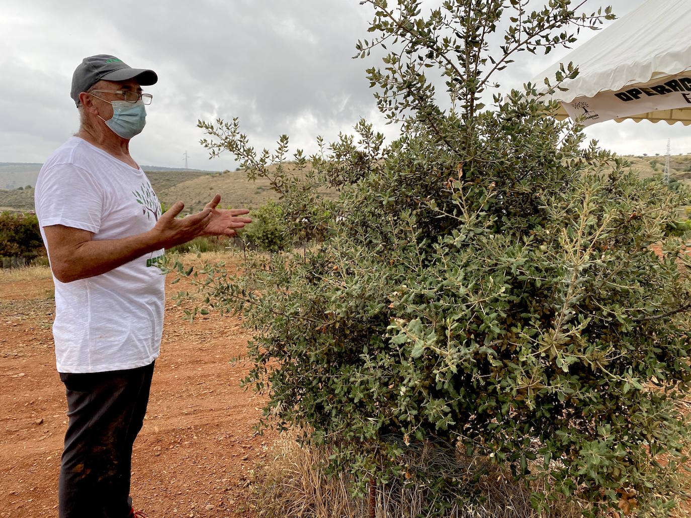 «Sin árboles no somos nadie y de una especie no se hace un bosque»