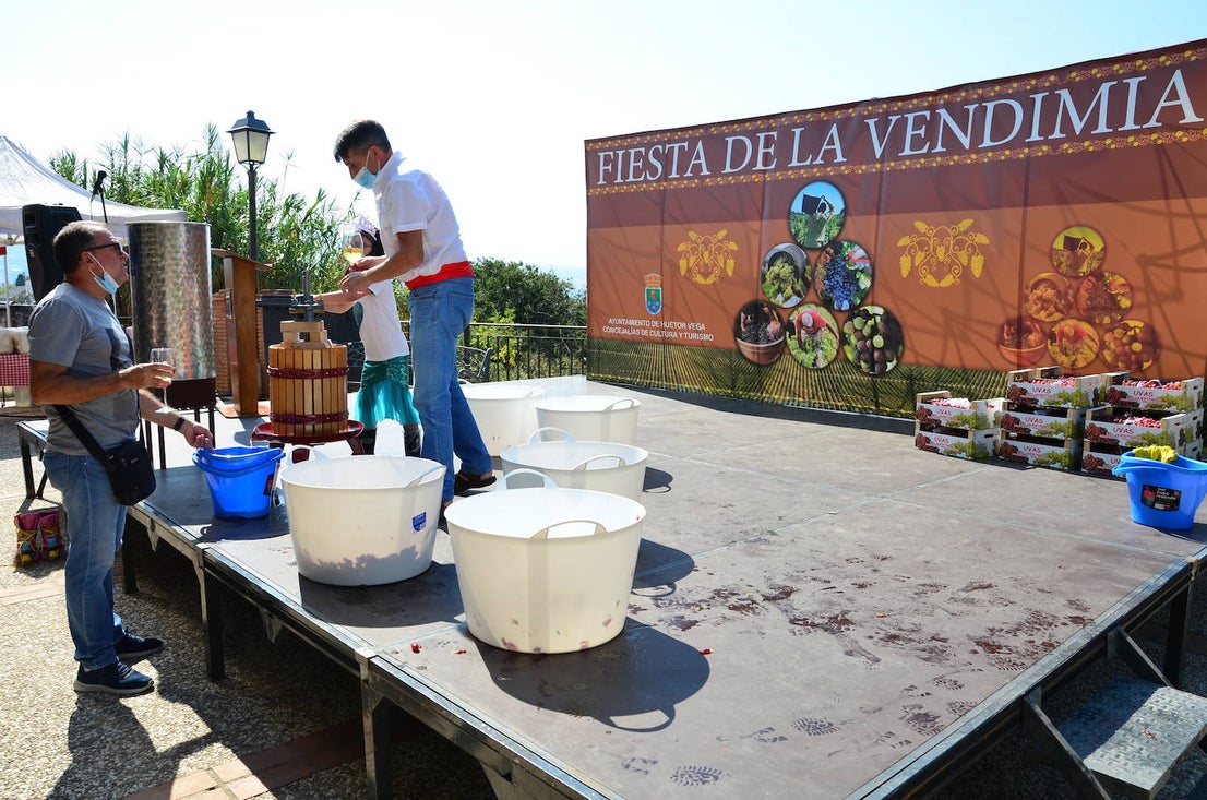 Fotos: Fiesta de la Vendimia en Huétor Vega