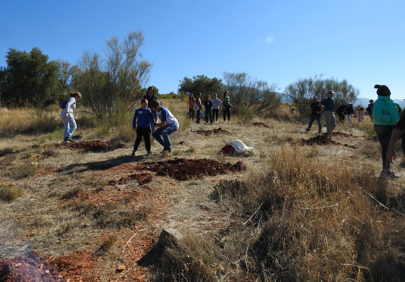 Fotos: Jornada de reforestación &#039;bilingüe&#039; en Huétor Vega