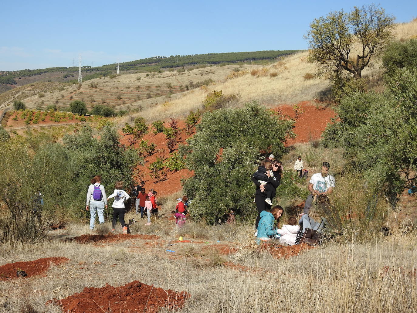 Fotos: Jornada de reforestación 'bilingüe' en Huétor Vega