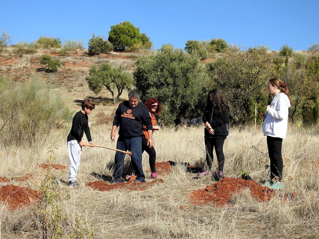 Fotos: Jornada de reforestación 'bilingüe' en Huétor Vega
