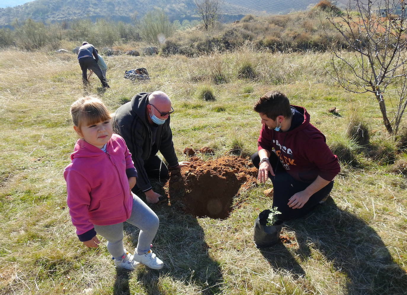 Fotos: Un centenar de personas reforestan el Camino de los Neveros