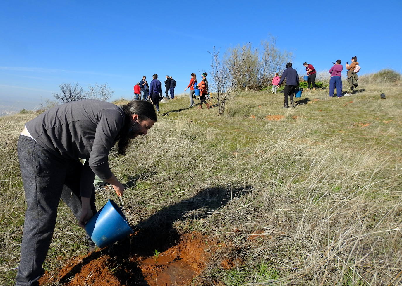 Fotos: Un centenar de personas reforestan el Camino de los Neveros
