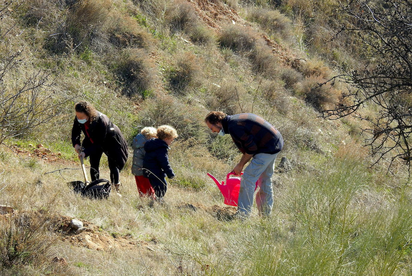 Fotos: Un centenar de personas reforestan el Camino de los Neveros