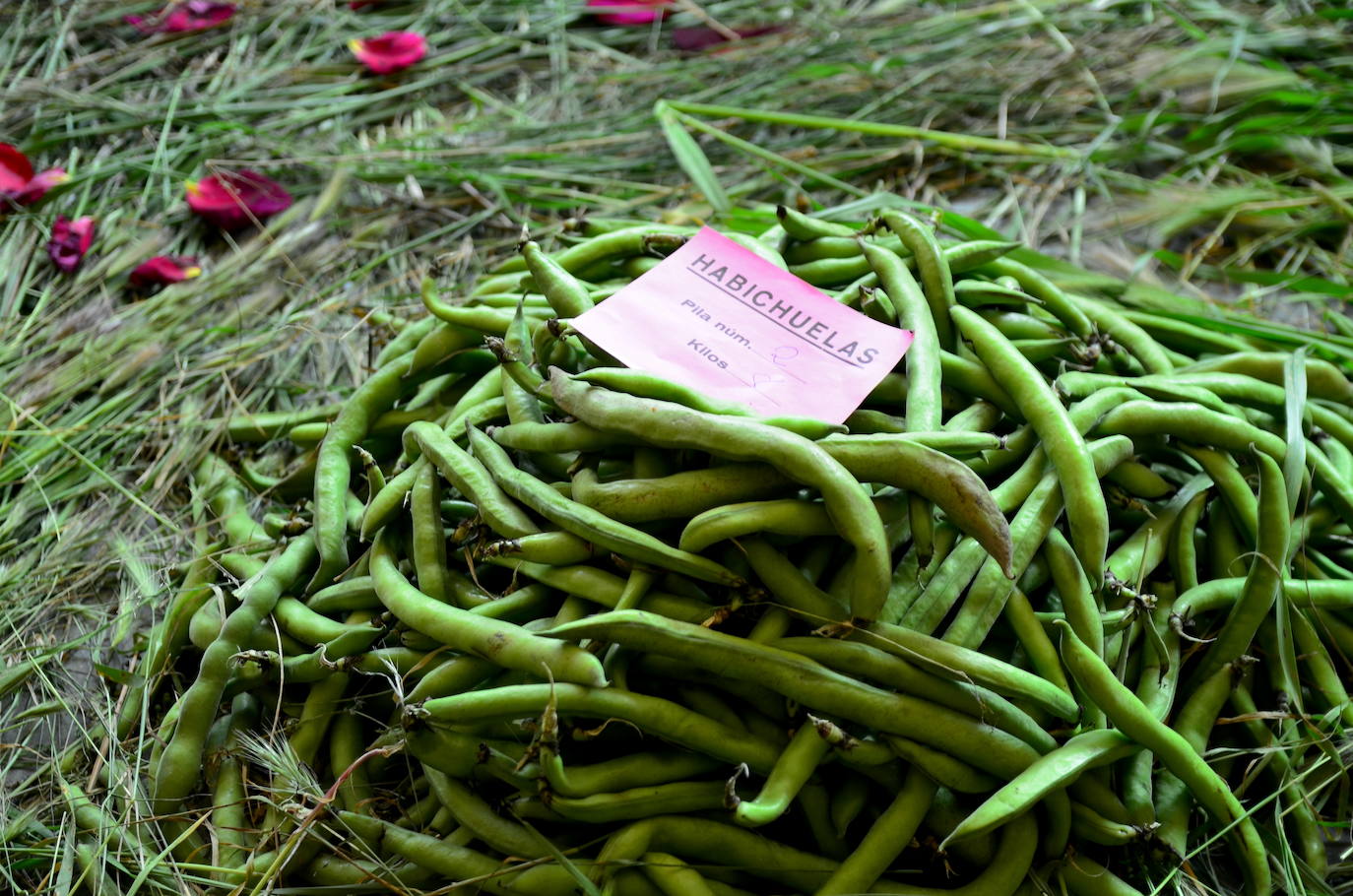 Cruz del Bar La Corría, primer premio del concurso municipal.