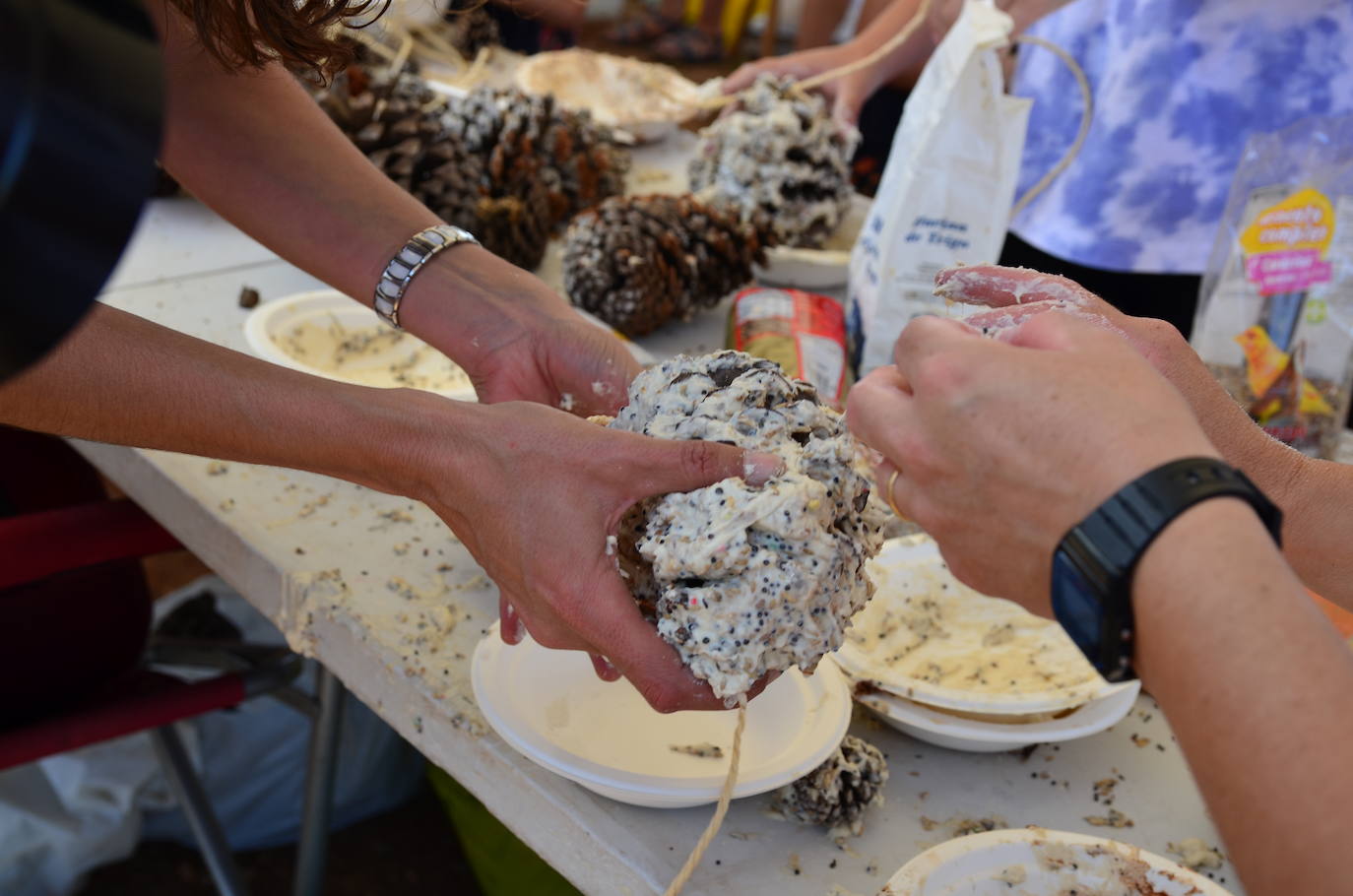 Huétor Vega se ha convertido en un punto de referencia el Día Mundial del Medio Ambiente.