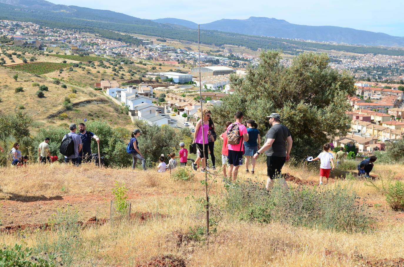 Huétor Vega se ha convertido en un punto de referencia el Día Mundial del Medio Ambiente.