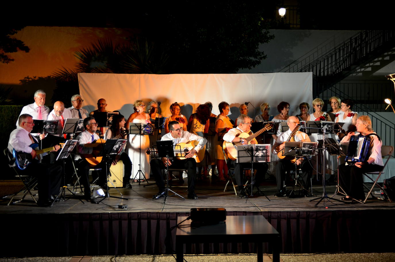 Actuación de la Agrupación de Pulso y Púa San Roque.