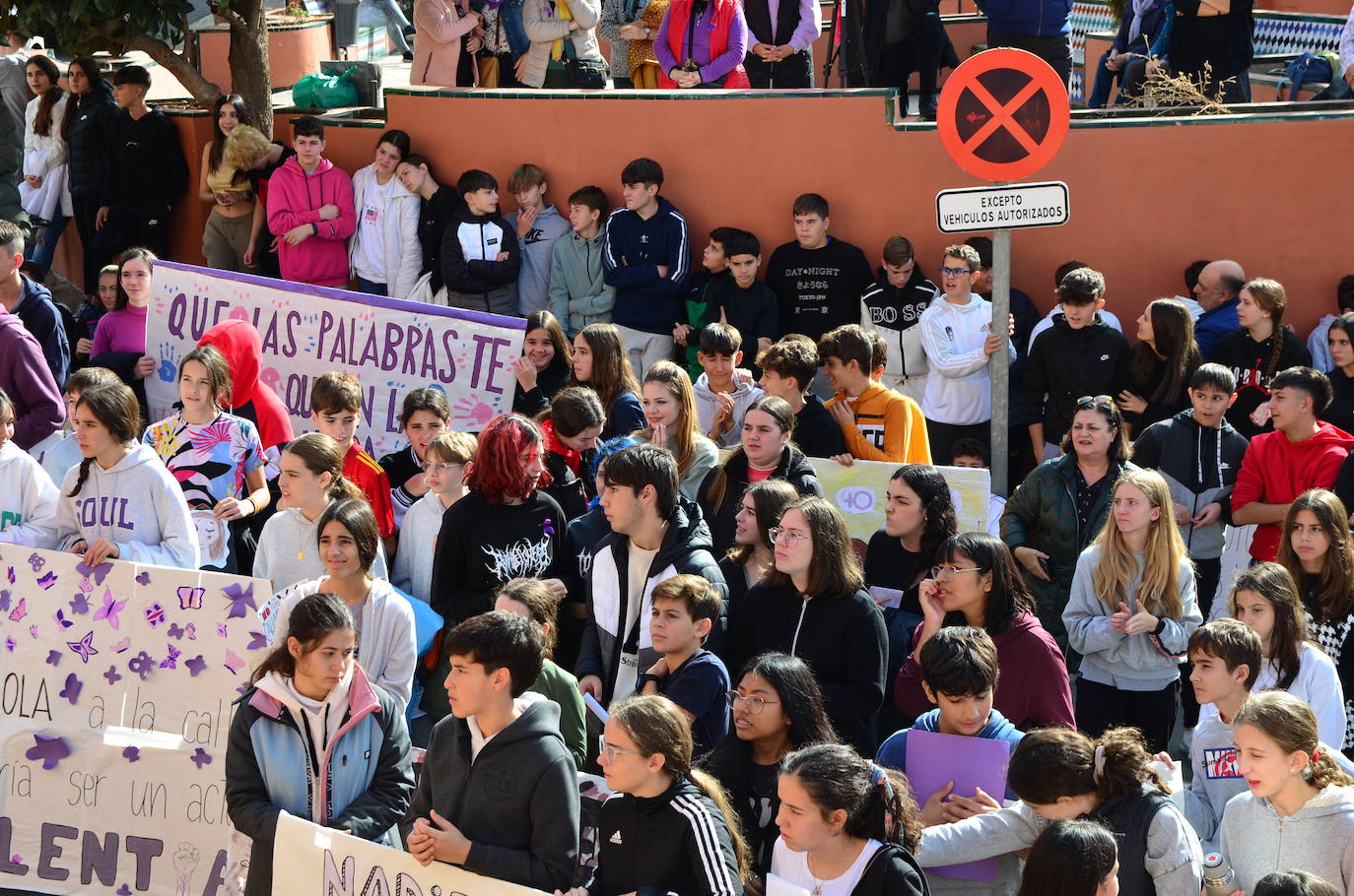 El alumnado del IES Los Neveros, hoy frente al Ayuntamiento de Huétor Vega.