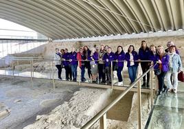 Visita reciente a la Villa Romana del Salar.