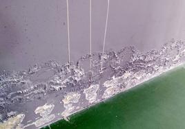 Humedades en el gimnasio.