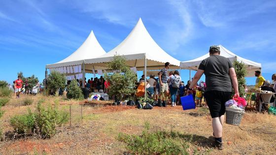 Programación de la Fiesta del Día Mundial del Medio Ambiente en Huétor Vega