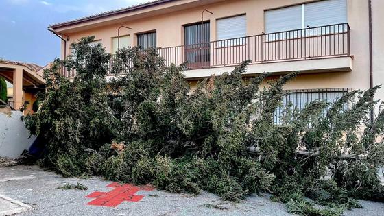 Los servicios municipales de emergencia atienden más de cincuenta incidencias en Huétor Vega