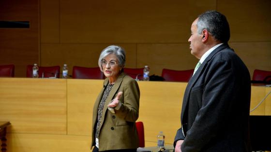 Comienzan las jornadas de plantación del proyecto 'Acupuntura arbórea' en Huétor Vega