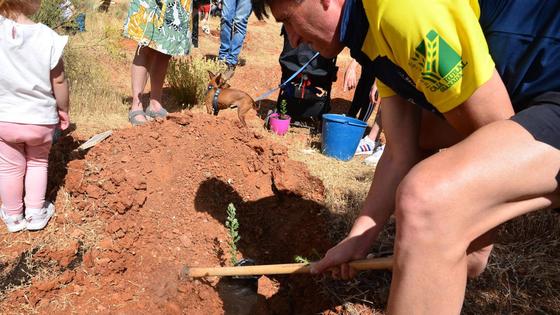 Día del Árbol: Huétor Vega convoca a las familias con bebés nacidos en 2023