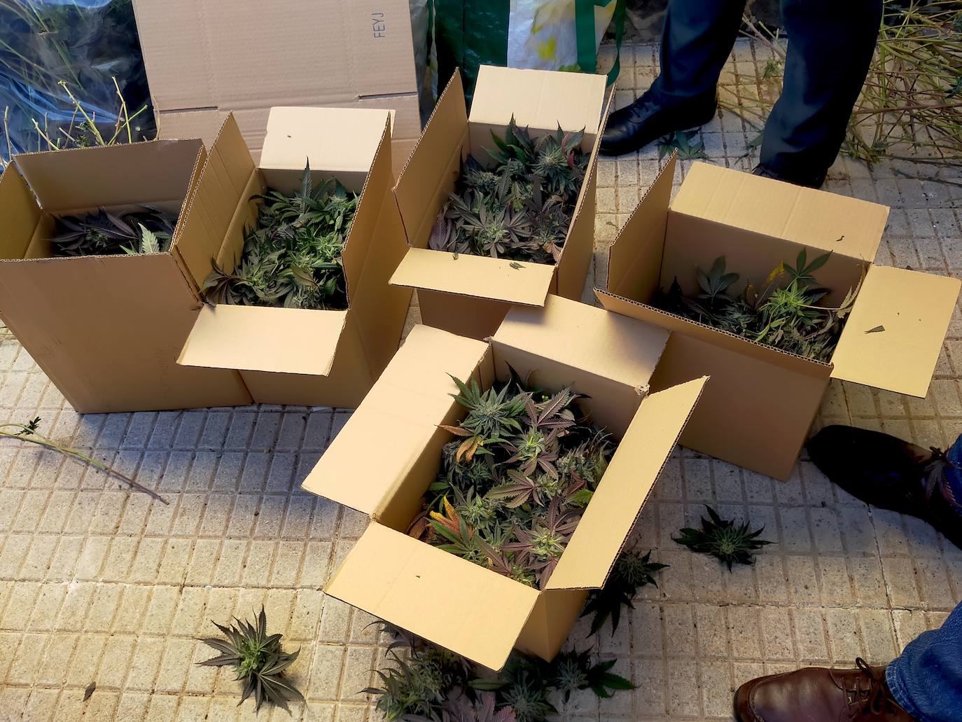 Cajas con la droga aprehendida.