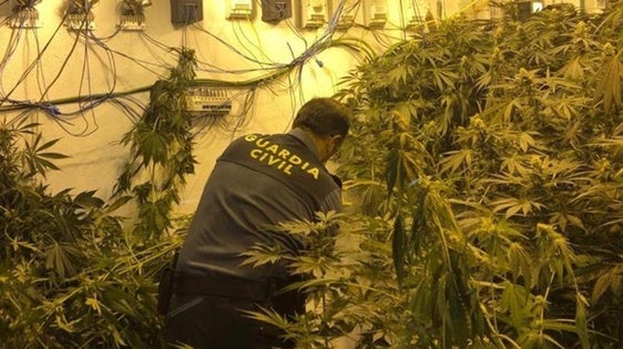 La Guardia Civil desarticula centros de producción de marihuana en Huétor Vega y Monachil