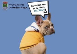 Multas de 75 a 2.400 euros: Huétor Vega avisa a los dueños de las mascotas