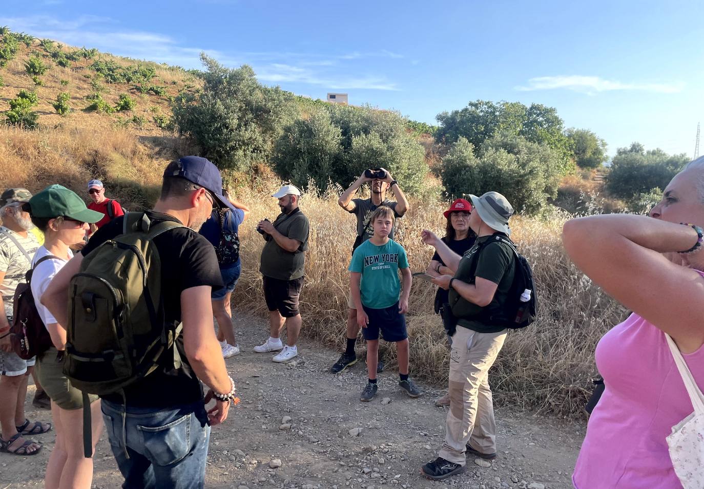 Paseo ornitológico por parajes de Huétor Vega.
