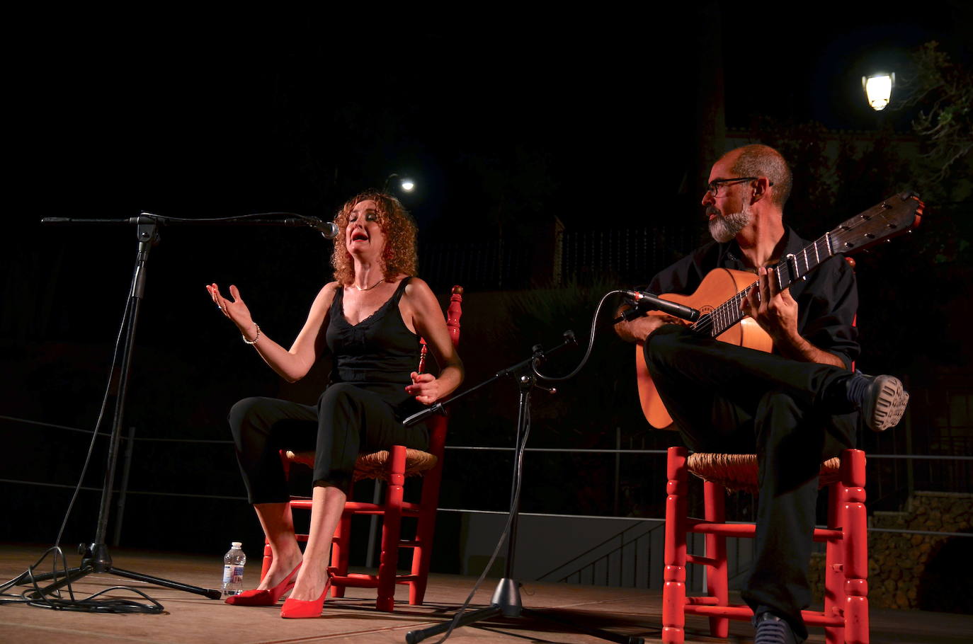 El flamenco brilla en su noche más especial en Huétor Vega