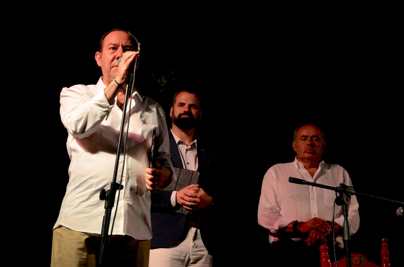 El flamenco brilla en su noche más especial en Huétor Vega