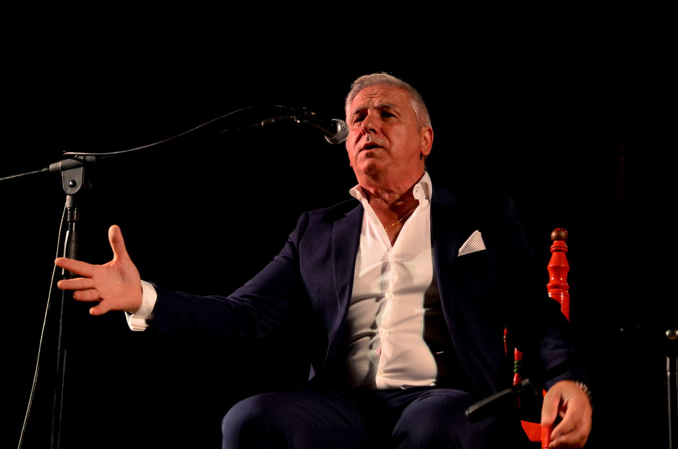 El flamenco brilla en su noche más especial en Huétor Vega