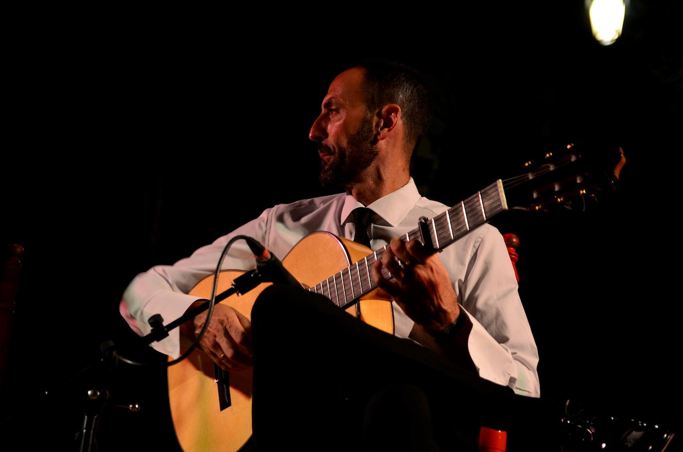 El flamenco brilla en su noche más especial en Huétor Vega