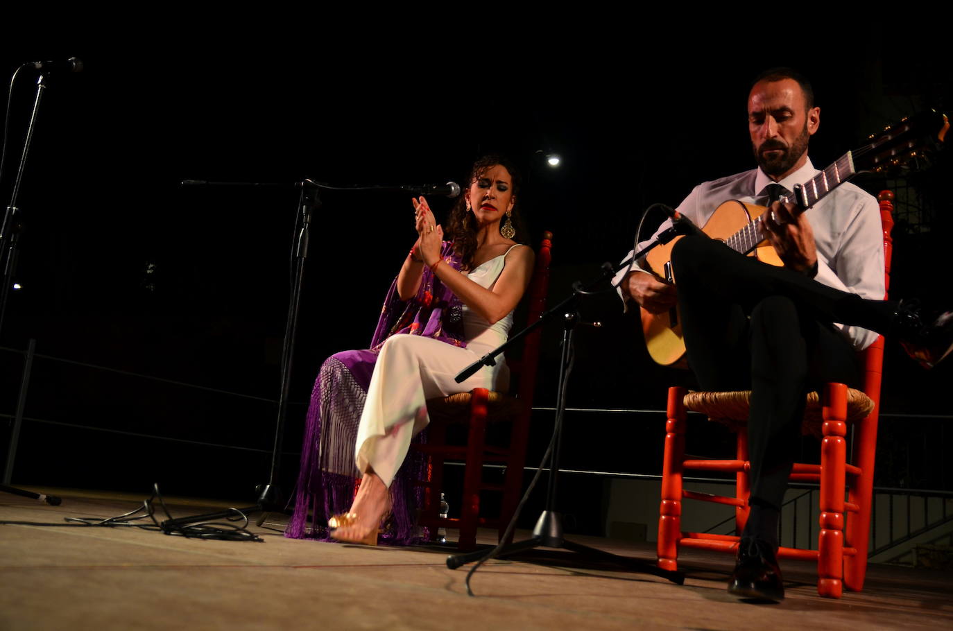 El flamenco brilla en su noche más especial en Huétor Vega