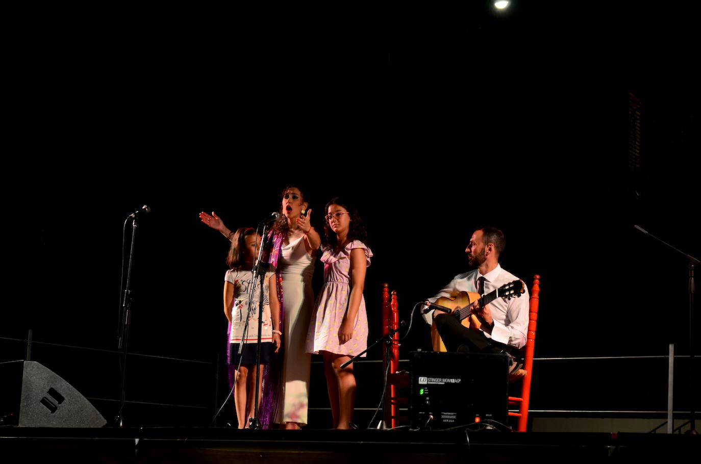 El flamenco brilla en su noche más especial en Huétor Vega