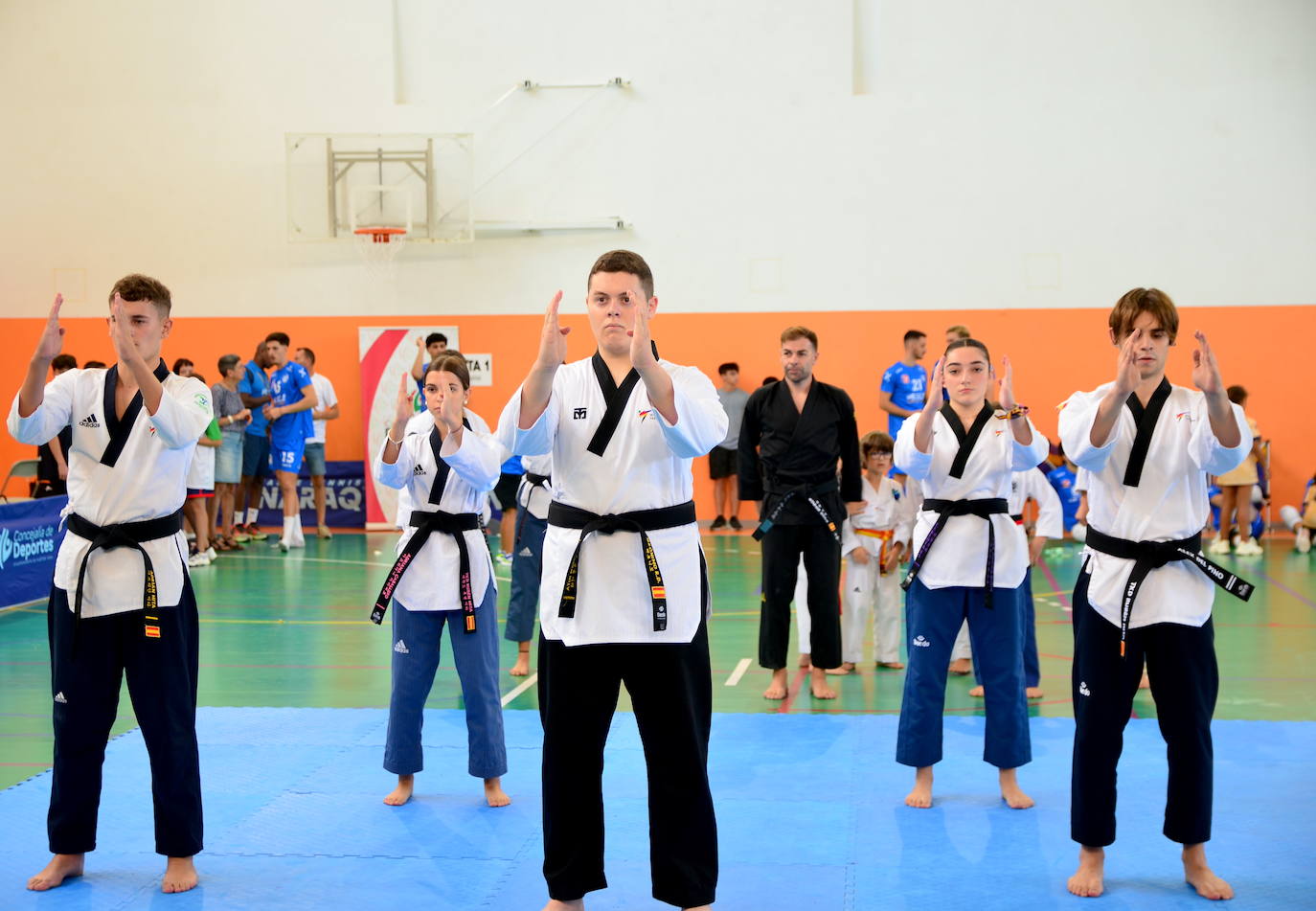 Exhibición de taekwondo en Huétor