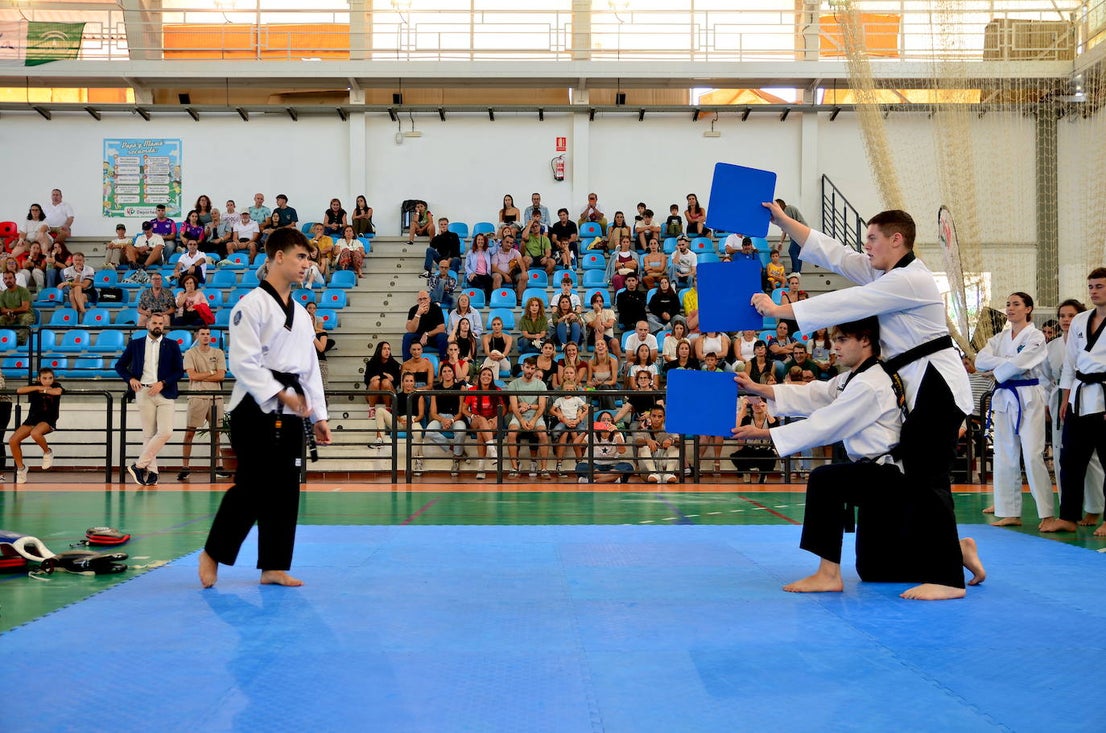 Exhibición de taekwondo en Huétor