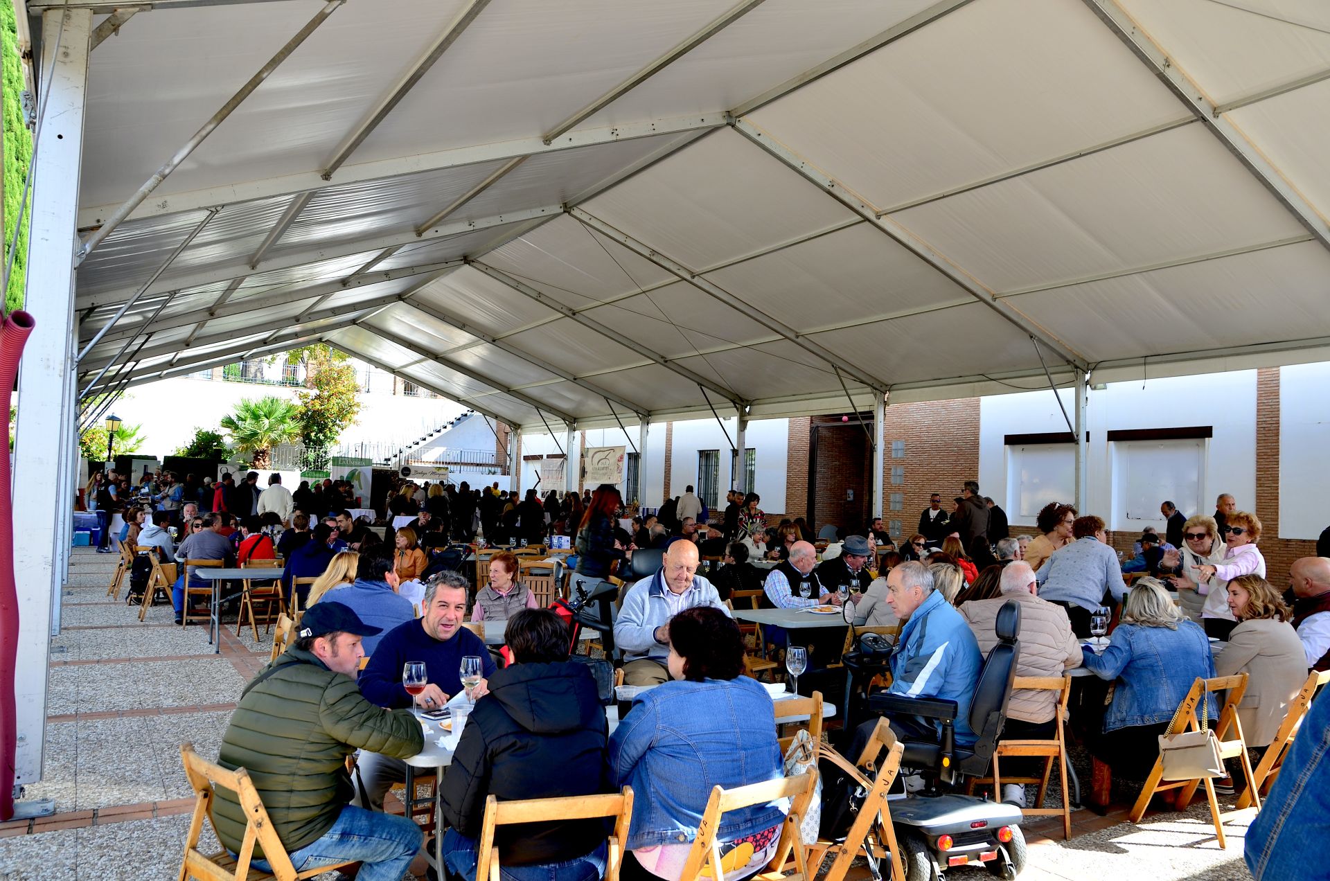 Así ha sido la novena Fiesta de la Vendimia de Huétor Vega