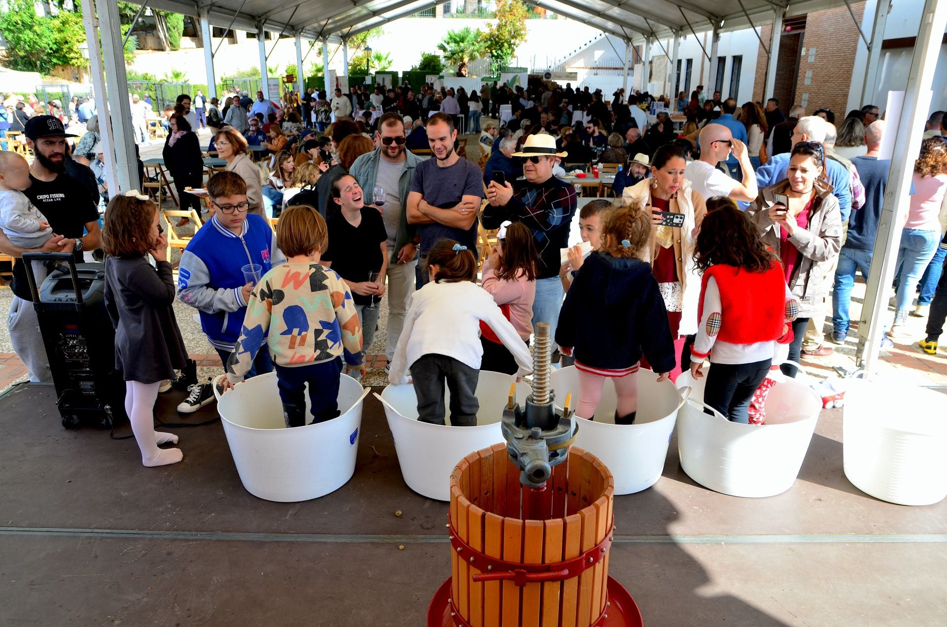 Así ha sido la novena Fiesta de la Vendimia de Huétor Vega