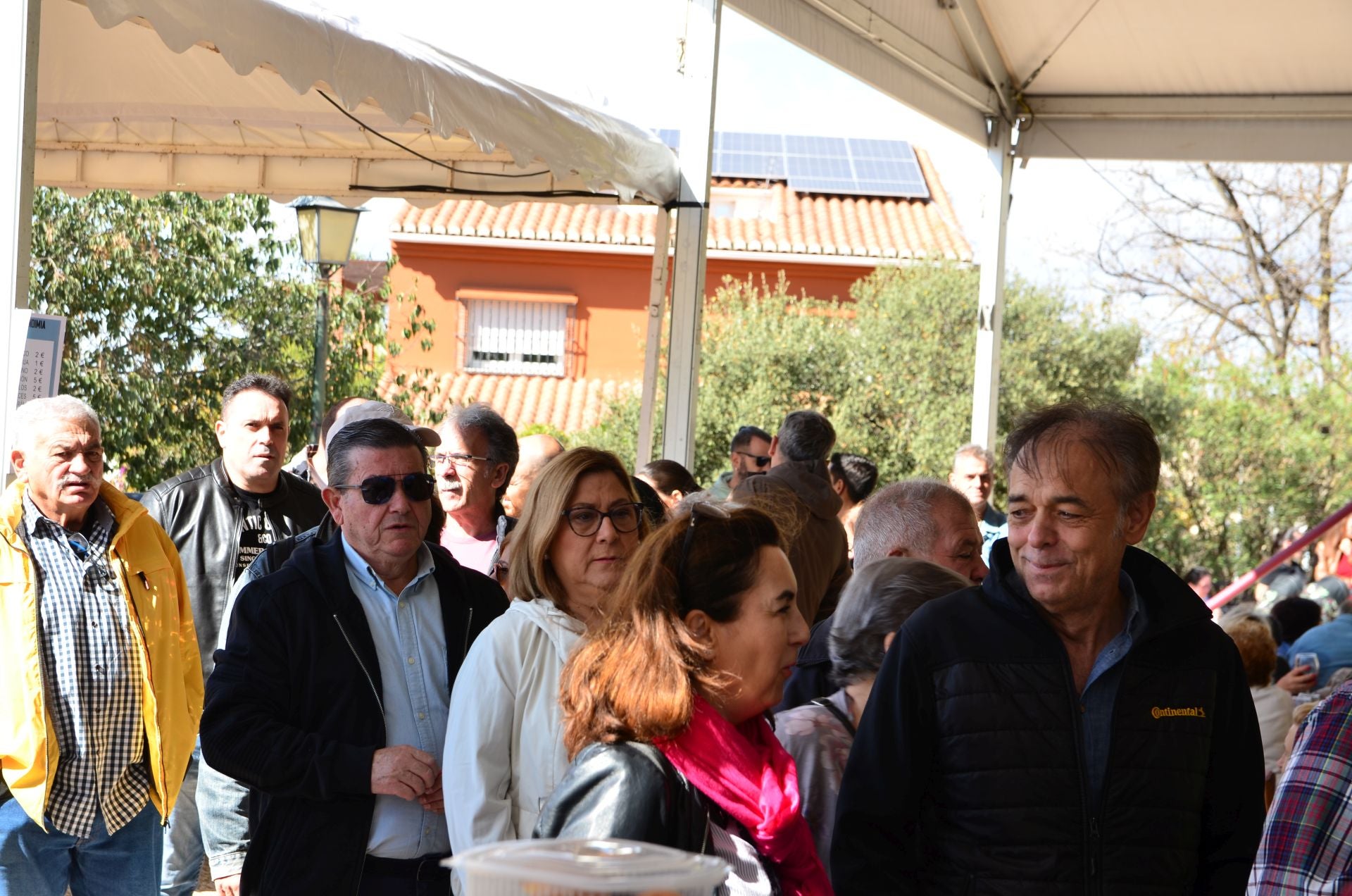 Así ha sido la novena Fiesta de la Vendimia de Huétor Vega