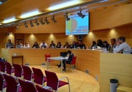 Pleno celebrado en el Ayuntamiento de Huétor Vega el pasado lunes.