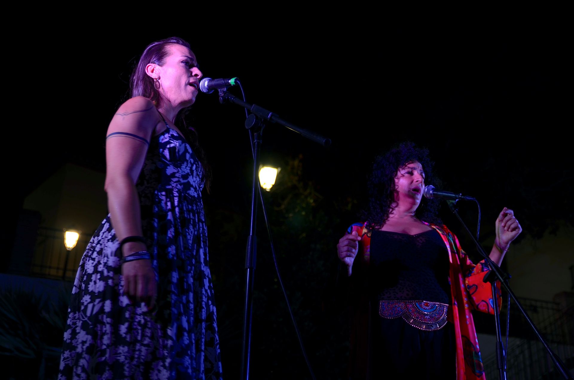 Músicos y artesanos unen fuerzas solidarias en Huétor Vega