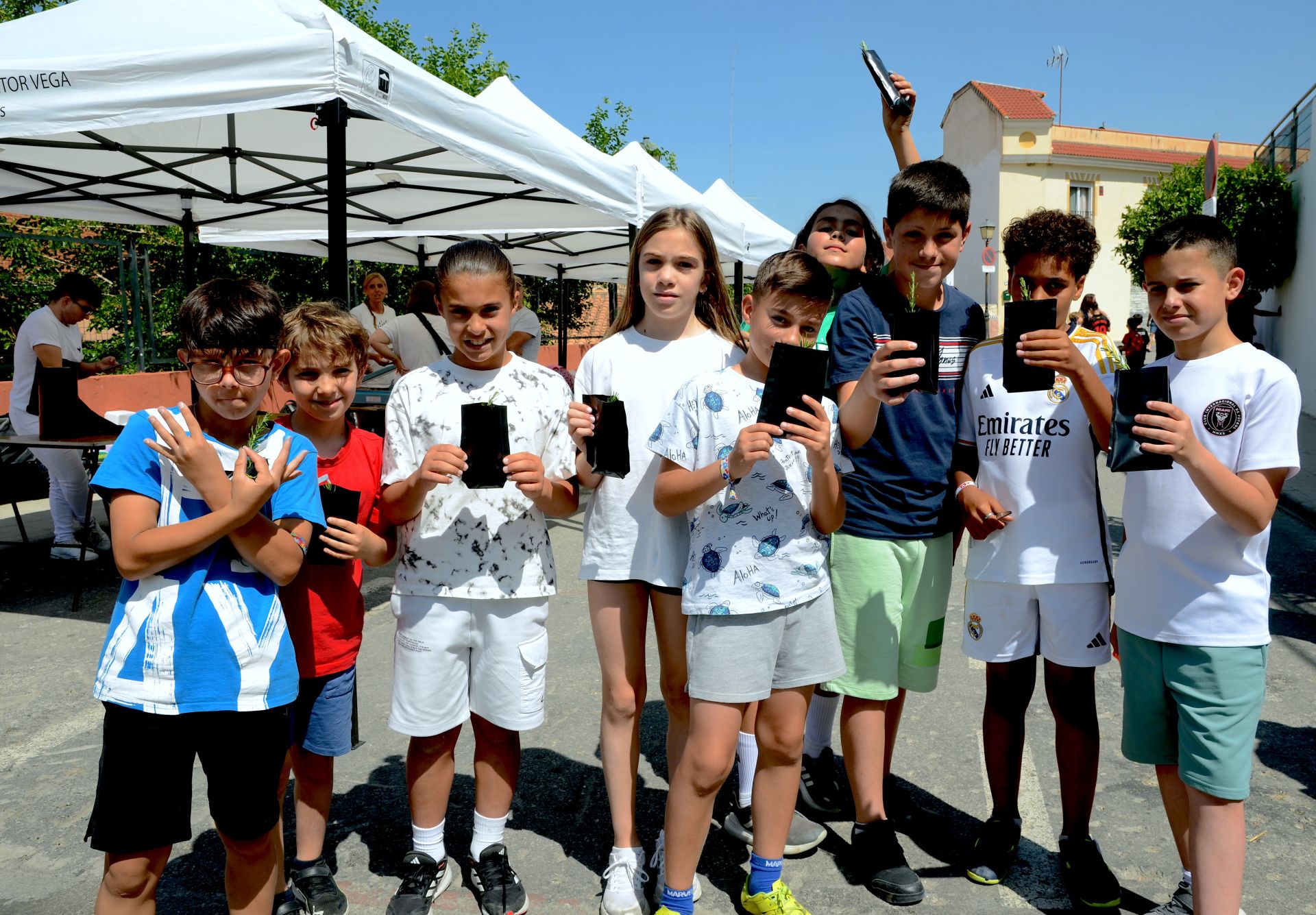 Esquejes listos para cuidar en casa.