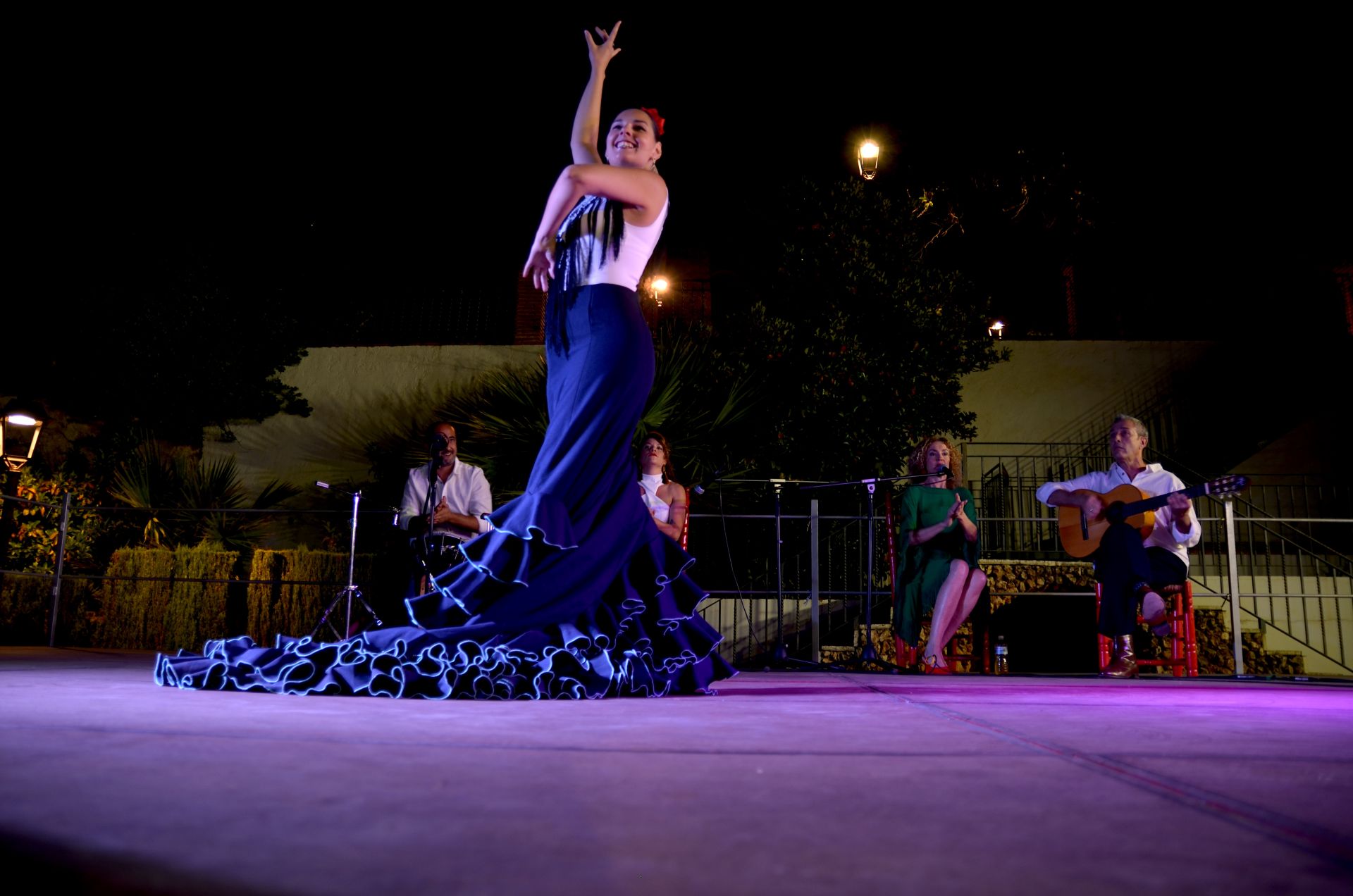Festival Flamenco de Huétor Vega: tradición y futuro