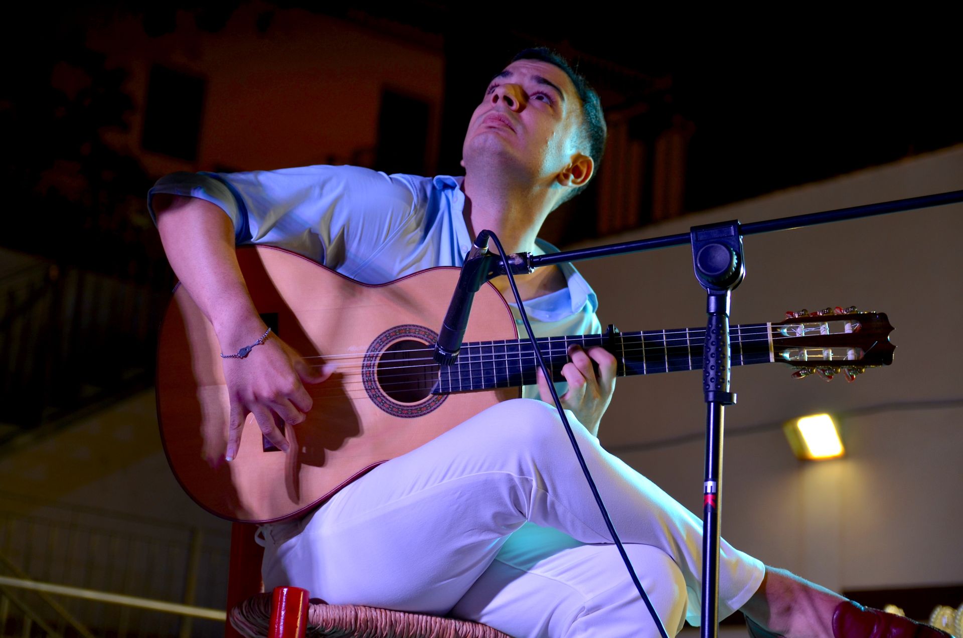 Festival Flamenco de Huétor Vega: tradición y futuro