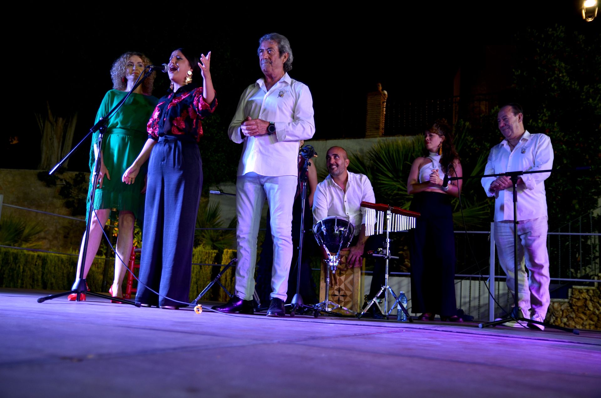 Festival Flamenco de Huétor Vega: tradición y futuro