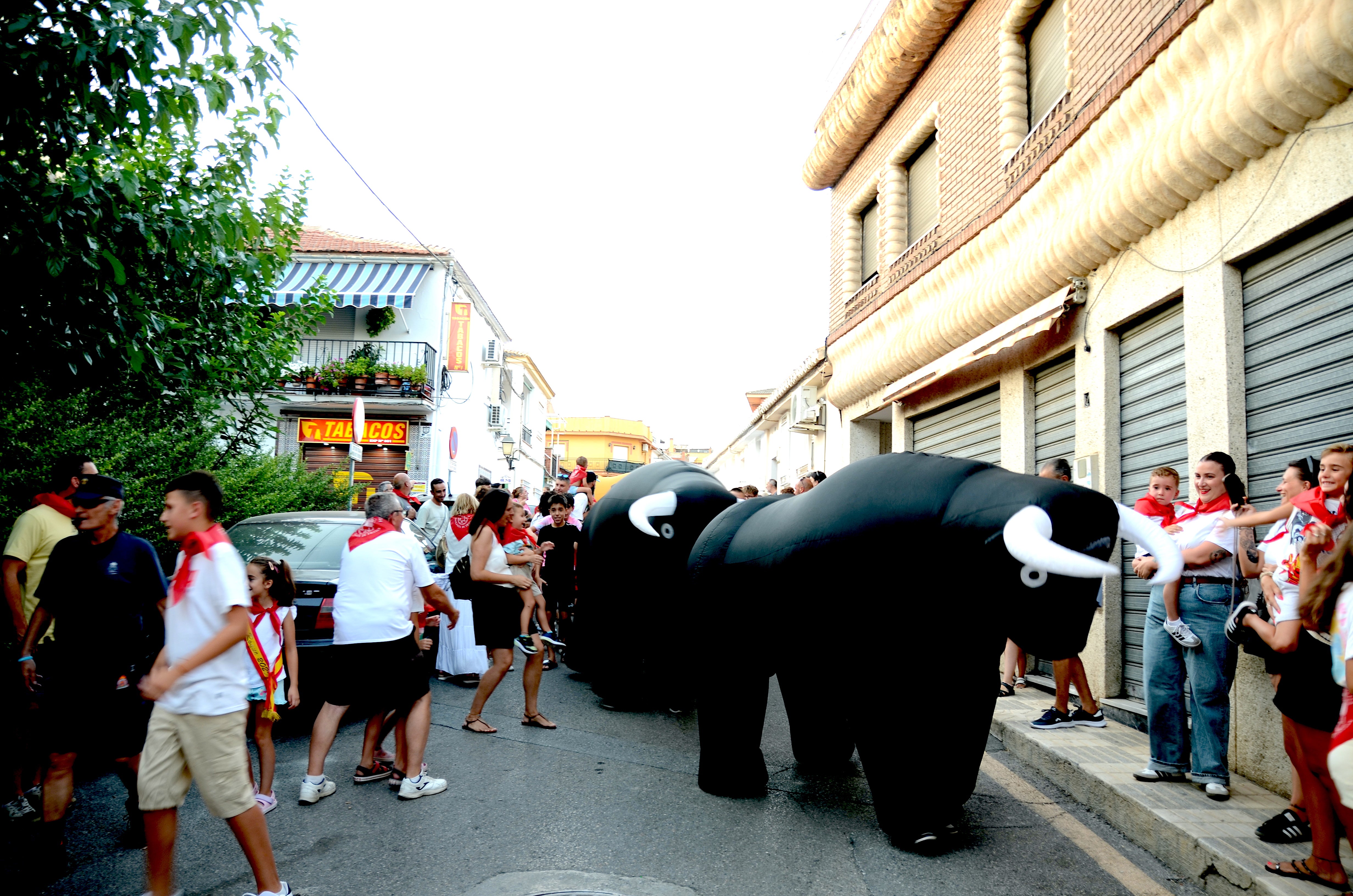 Encuéntrate en el &#039;encierro de toros&#039; familiar de Huétor Vega