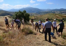 Reforestación en el Camino de los Neveros, en Huétor Vega.